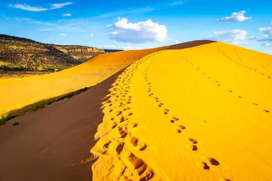 Panoramic sunset view overlooks Coral Pink Sand Dunes in Utah