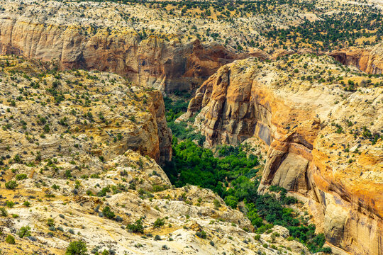 Deep sandstone canyon carved by Boulder Creek along The Hogback
