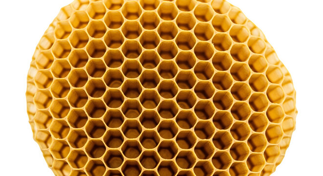 Intricate Honeycomb Pattern Isolated on a Transparent Background for Natural Texture and Geometric Design Projects