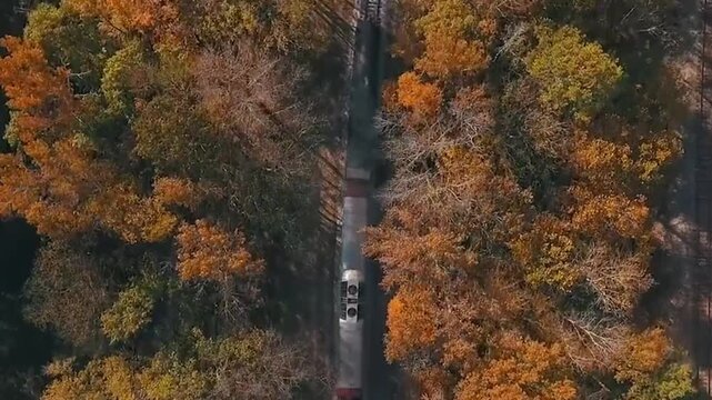 Beautiful top-down aerial drone shot of a train travelling through a railway surrounded by vibrant autumn trees. The colourful seasonal foliage creates a striking natural pattern around the moving tra
