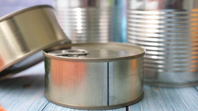 Exploring various types of canned food and their packaging