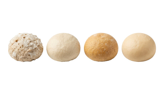 Four raw bread dough balls in different textures and flour finishes