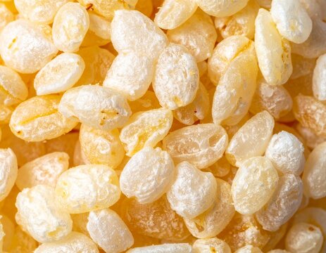 Close-up of dried white lucuma seeds, arranged in a random pattern, used in cooking and natural remedies