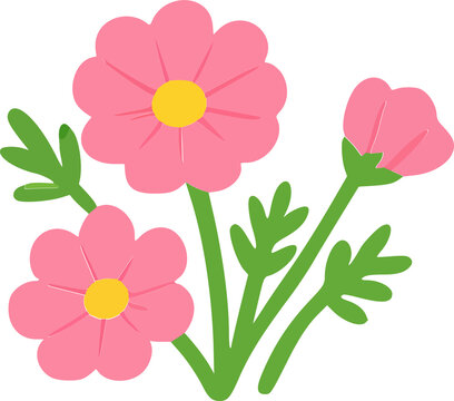 Cute Pink Cosmos Flowers Illustration