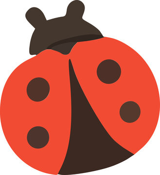 Cute Red Ladybug Illustration