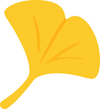 Cute Yellow Ginkgo Leaf for Autumn