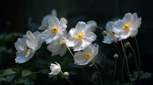 White spring flowers blooming in a green meadow under soft light