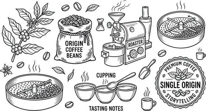 Coffee Roasting Process and Cupping Tasting Notes Vector Line Art Set