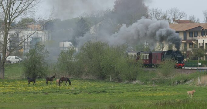 Molli steam train, K&uuml;hlungsborn Ost, Mecklenburg-Western Pomerania, Germany