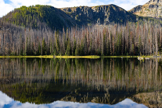 Burned forest and rocky ridge reflected in a mountain lake