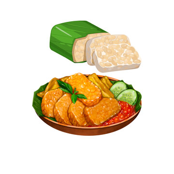 Indonesian Traditional Food Tempeh Illustration, Raw Tempeh in Banana Leaf and Fried Tempeh with Sambal