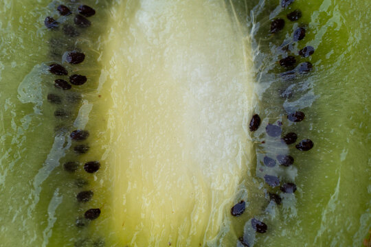 Macro detail of fresh green kiwi fruit flesh and black seeds
