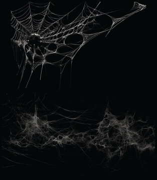 Spiders web overlay PNG isolated on transparent background for photo editing and digital compositing