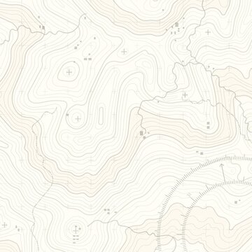 Minimal Vintage Topographic Contour Map Background with Fine Terrain Lines and Neutral Cartographic Pattern