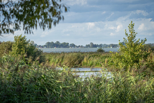 Ein durch Schilf eingerahmter Blick &uuml;ber den D&uuml;mmer See: Im Vordergrund dominieren dichte Gr&auml;ser und Ufervegetation, die den Blick in die Tiefe lenken, wo kleine Segelboote unter wolkigem Himmel auf d