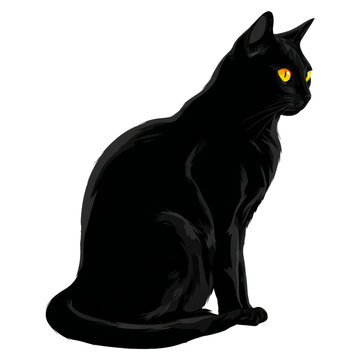 An illustration of a sleek black cat sitting in profile on transparent background