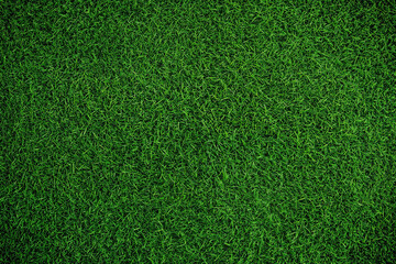 Fototapeta premium Fresh Green Grass Field Texture – Natural Lawn Background