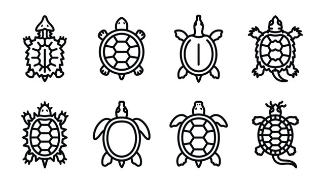 Turtle Collection: A set of eight simple line art illustrations of turtles, each displaying a unique shell pattern and leg design, presented in a clean and organized layout.