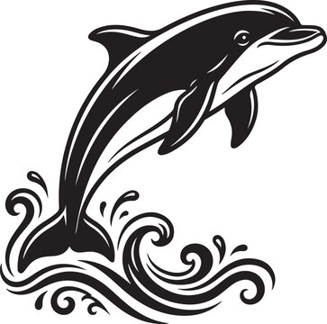 vector illustration of a dolphin