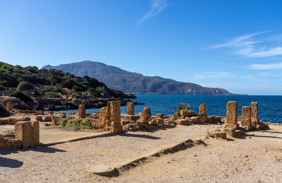 Coastal Roman ruins at Tipasa with Mount Chenoua across the bay