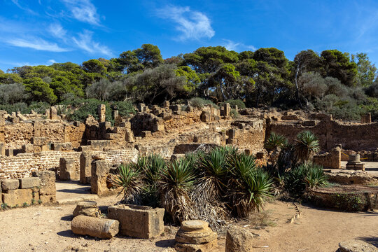 Roman house ruins and yucca plants at the Tipasa archaeological park