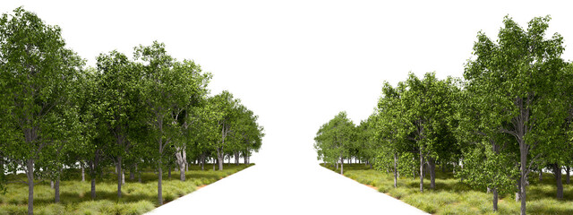 Naklejka premium Natural forest trees line way on transparent backgrounds 3d rendering png