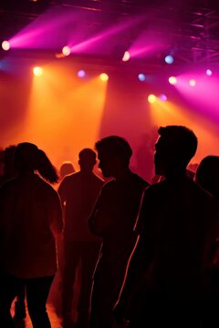 Crowd of people silhouetted against stage lights dancing and having fun at a music event