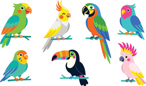 Collection of colorful parrots and toucan tropical birds in flat vector illustration style perfect for nature and wildlife concepts