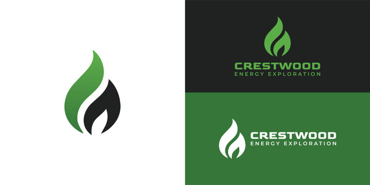 A modern oil and gas logo featuring a green and black stylised flame and droplet icon, symbolising energy production and an environmental focus.