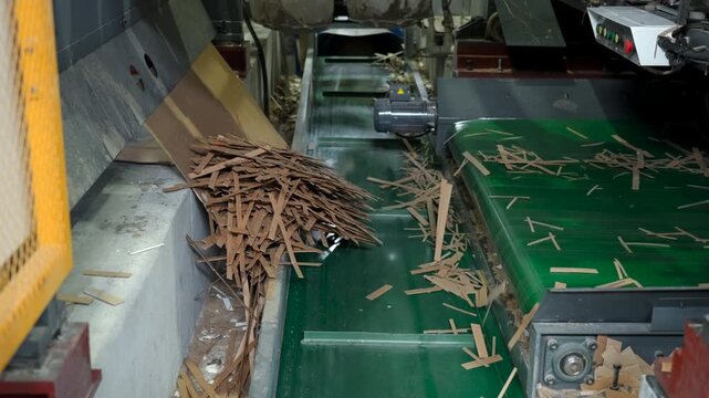 Industrial sorting machine moving thin wooden slats onto green conveyor belts inside compact factory equipment with metal chutes, rollers, motors, dusty surfaces, and busy utilitarian workflow