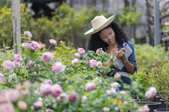 A smiling woman wearing a straw hat writes notes about roses among blooming pink flowers in a plant nursery. The scene illustrates horticultural record keeping, plant observation.