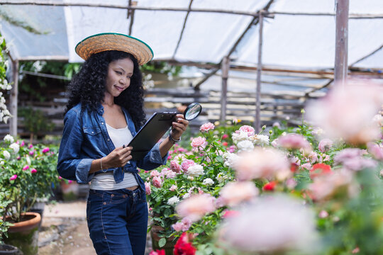 A woman wearing a straw hat reviews a plant care schedule on a clipboard while holding a magnifying glass among blooming roses in a greenhouse. The scene illustrates routine garden maintenance