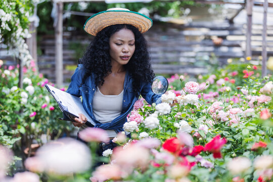 A woman wearing a straw hat examines blooming roses with a magnifying glass in a colorful outdoor garden. The scene illustrates plant observation, gardening.