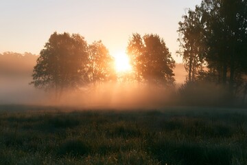 Fototapeta premium Misty sunrise over a calm meadow with trees and fog