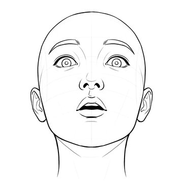 Hand drawn sketch of Asian female teen head base, low angle view, surprised expression, isolated on white background. Technical line art.