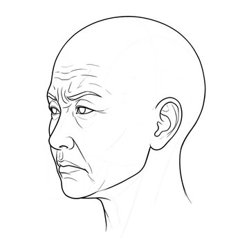 Hand drawn sketch of Asian elderly female head base, profile view, stern frowning expression, isolated on white background. Technical line art.