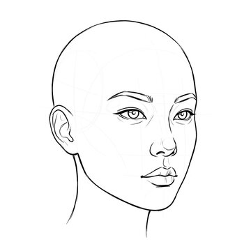 Hand drawn sketch of Asian female head base, 3/4 view, oval face shape, isolated on white background. Technical line art.