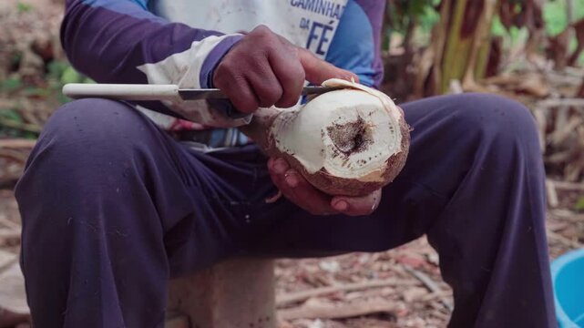 Close-up of a local cassava grower sitting outdoors and peeling the thick brown skin from a fresh cassava root with a knife.