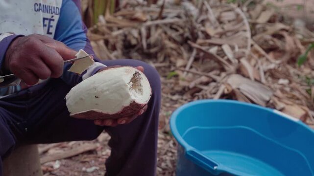 Close-up of a seated cassava grower peeling a large fresh cassava root by hand with a knife beside a blue plastic basin outdoors.