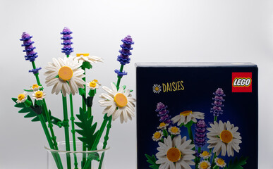 Fototapeta premium Bologna - Italy - September 17, 2026: A bouquet of colorful lego daisies and lavender flowers standing beside the original retail packaging box.