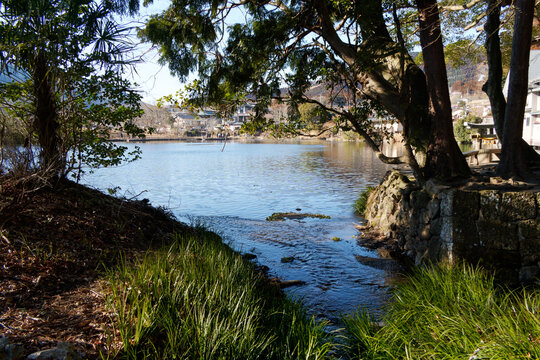 Clear stream flowing into Lake Kinrin surrounded by green grass, stone wall, and framing trees in Yufuin.