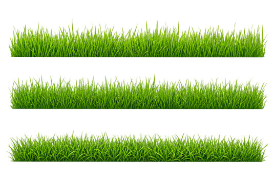 Three rows of green grass isolated on transparent background