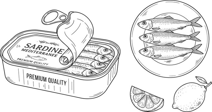 Vintage style outline graphic collection showcasing Mediterranean canned sardines seafood delicacies and lemon slice ingredient vector