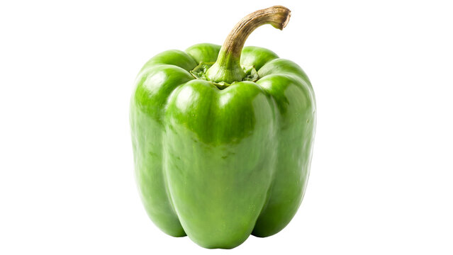 Fresh Green Bell Pepper Still Life Isolated PNG on Transparent Background, Vegetable for Cooking and Salad