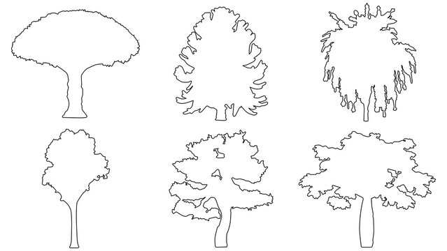 Set of six different tree silhouettes, handdrawn vector illustrations of various deciduous and coniferous trees for landscape design and architectural visualization isolated on transparent background