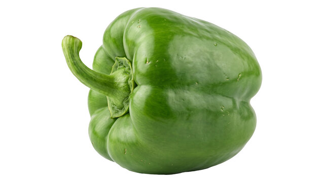 Fresh Green Bell Pepper Still Life Isolated PNG on Transparent Background, Vegetable for Cooking and Salad