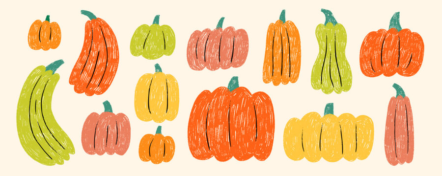 Color Crayon Thanksgiving Pumpkin Set. Cute Doodle Fall Halloween Pumpkins Kit. Scribble Gourd Harvest Food Collection. Hand Drawn Organic Vector Illustration