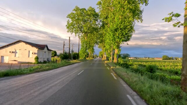 Driving Along Scenic Tree-Lined Countryside Road During Golden Sunset