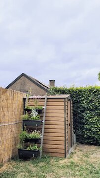 Wooden structure with vertical garden in a backyard on a sunny day