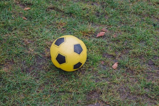 Yellow soccer ball sits on wet grass in a park during the afternoon on a cloudy day